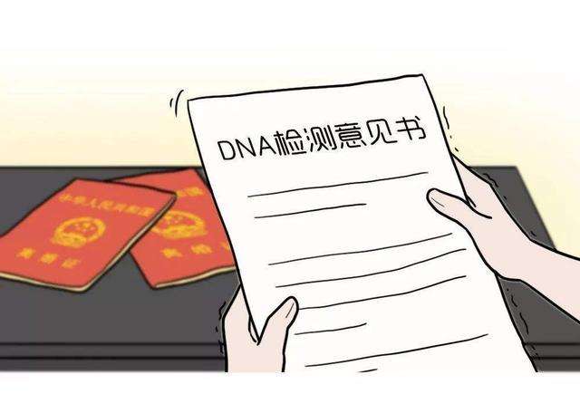 廣州為什么上戶口要做親子鑒定